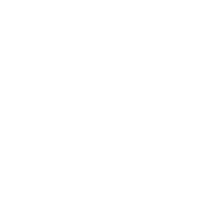 1. Asesoramiento T&eacute;cnico