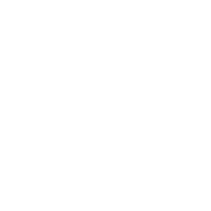 2. Venta y Distribuci&oacute;n de Equipos