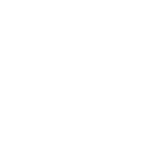 5. Auditor&iacute;as T&eacute;cnicas